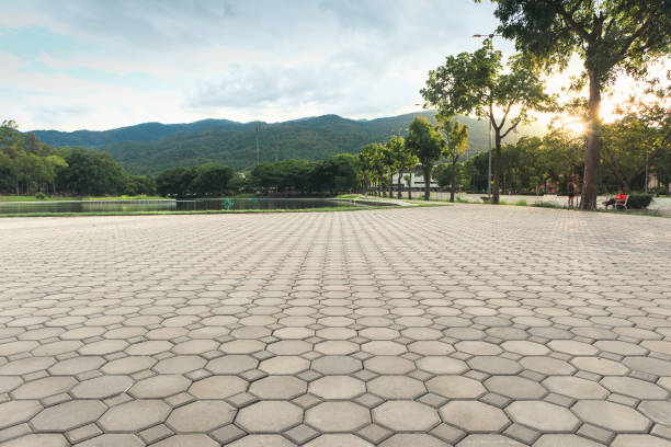 Best Best Driveway Pavers  in Palm Valley, FL