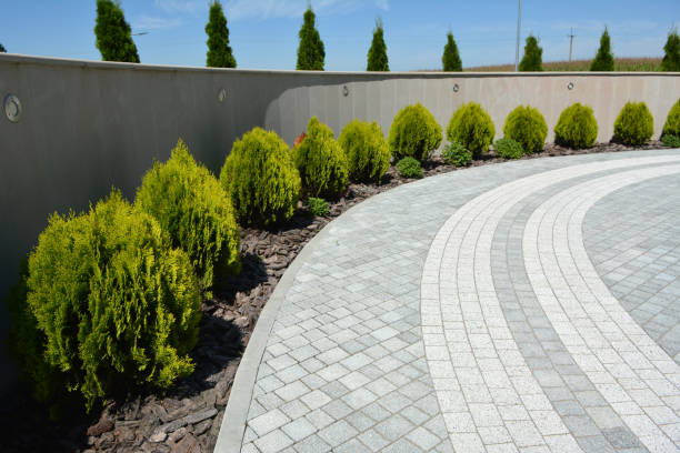 Best Driveway Paving Contractor  in Palm Valley, FL